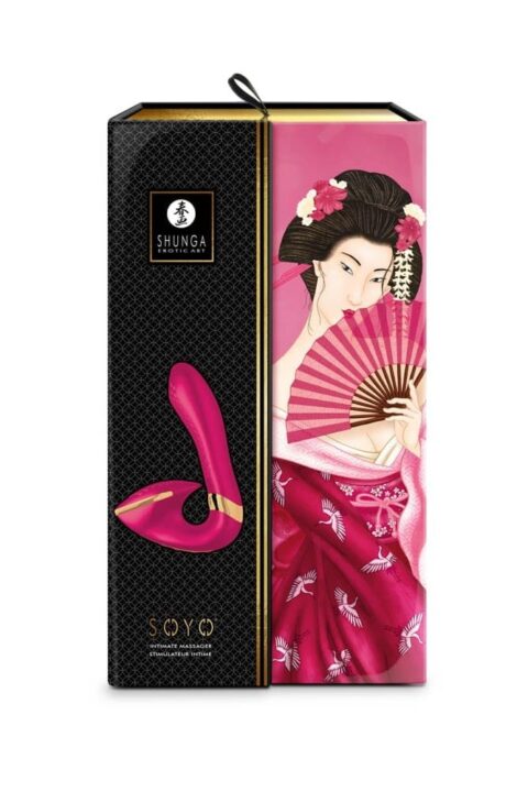 SOYO RASPBERRY