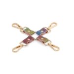 Spectra Bondage - Hogtie - Rainbow - Image 2