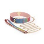 Spectra Bondage - Collar &  Leash - Rainbow - Image 2
