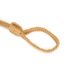 Bound You II Rope Collar and Leash - Image 3