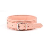 Pink Organosilicon Collar with Leash - Image 4