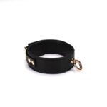 Black Organosilicon Collar with Leash - Image 6