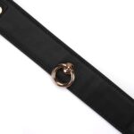 Black Organosilicon Collar with Leash - Image 7