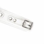 Fuji White Collar with Leash - Image 6