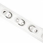 Fuji White Collar with Leash - Image 7