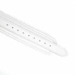 Fuji White Collar with Leash - Image 8