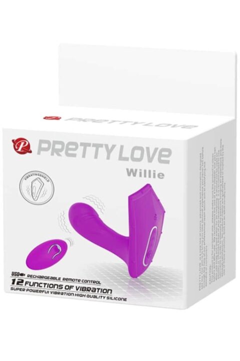 Pretty Love Willie
