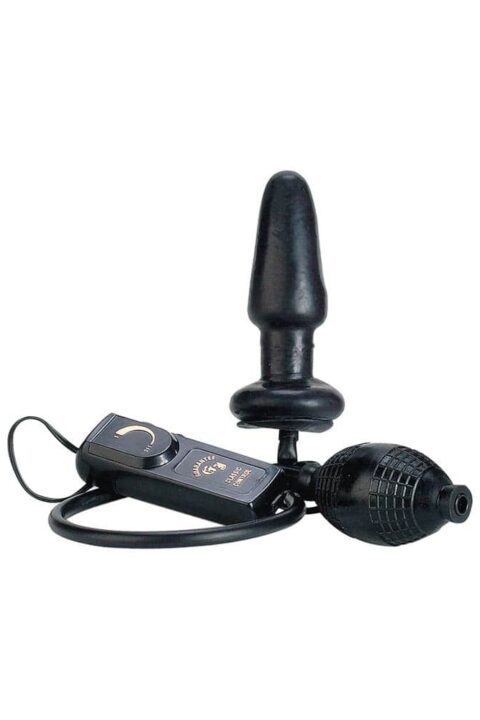 Fanny Hills Black Butt Plug