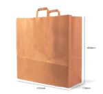 Paper Bag - 450x470x170 mm