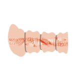 Crazy Bull Flesh 3D Vagina - Image 5