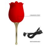 Pretty Rose Lover - Image 5