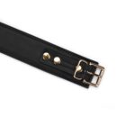 Black Organosilicon Collar with Leash - Image 4