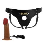 Pretty Love Stark Harness Briefs Brown - Image 4