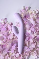 Cici+ 2 - Image 3