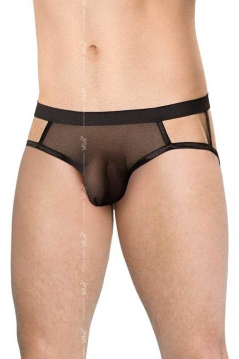 Mens Briefs 4521 - black {} OneSize