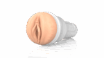 Fleshlight Sasha Nakamoto Ecchi - Image 3